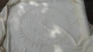 lot 745 image: Chenille Twin Bedspread with Shams (2).