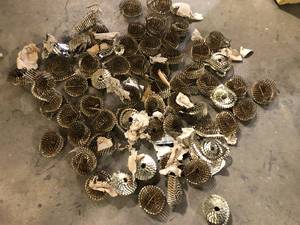 lot 36 image: Lot of Nails Customer Returns See Pictures