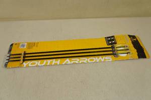 lot 61 image: Trophy Ridge Carbon Youth Arrows