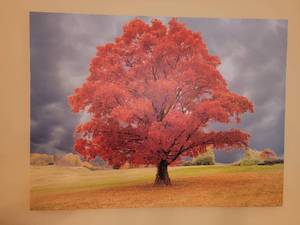 lot 70 image: Autumn Decor Poster