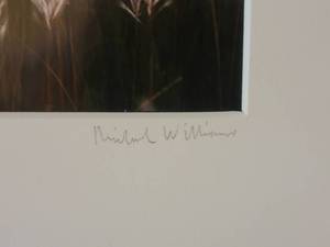 lot 54 image: Signed Fine Art Naturalist Photography Print - Prairie Grass
