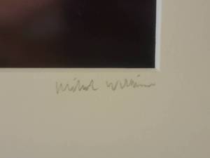lot 53 image: Signed Fine Art Naturalist Photography Print - Twilight Ripple