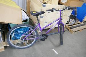 lot 125 image: Adult bike