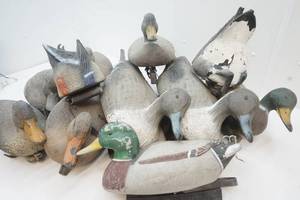 lot 21 image: Plastic decoys, weights and bag.