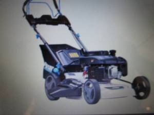 lot 54 image: Pulsar 21 200cc Self-Propelled Law...