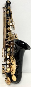 lot 2 image: LAZARRO Alto Saxophone with case