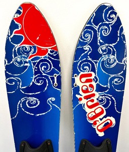 lot 18 image: OBRIEN 46 Wake Star Waterskis