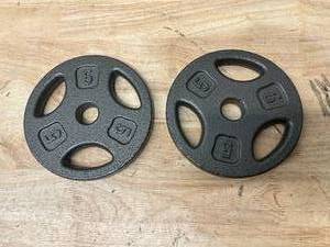 lot 99 image: Lot of 2- 5 pound weights