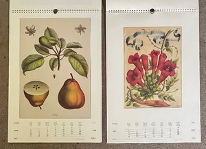 lot 66 image: Botanica and Frutta & Verdura Calendars