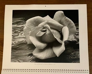 lot 142 image: Ansel Adams 1995 Calendar