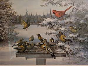 lot 91 image: Framed Bird Print by Owen Gromme