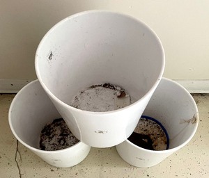 lot 142 image: (3) Soendgen Karamik German White Planters