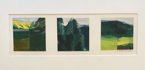 lot 148 image: Collage 3 Landscapes Framed Art by Jon Neuse
