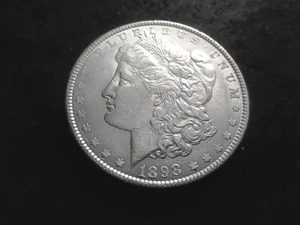 1898 Morgan Silver Dollar