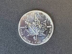 lot 460 image: 2013 1 oz Canadian Maple $5 Coin - .9999 Fine Silver