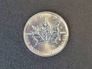 lot 459 image: 1989 1 oz Canadian Maple $5 Coin - .9999 Fine Silver