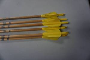 lot 19 image: 6 - 29 Cedar Target Arrows