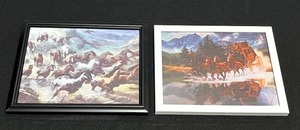 HORSES - Mustangs on the Move & The Stagecoach Rush