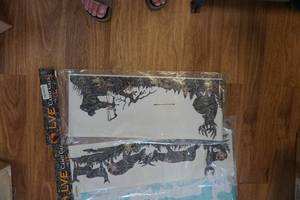 lot 116 image: LVE Extreme Large Lot of Whitetail Deer Window Decals