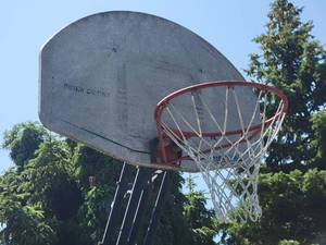 lot 173 image: Adjustable Basketball Hoop