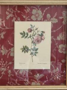 lot 208 image: Pretty Botanical Print Pairing - Rosa Rapa & Rosa Indica