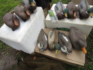 Hunting Decoys - Mallards