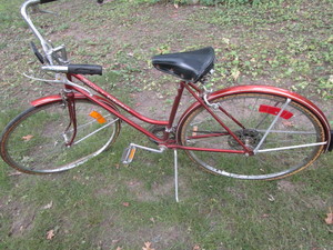 Schwinn Suburban Bicycle