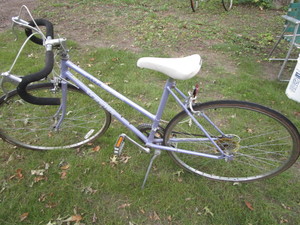 Schwinn Sprint Bicycle
