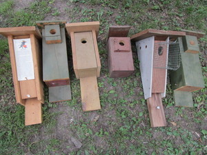 Bluebird Houses