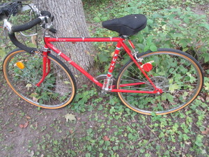 Fuji Bicycle