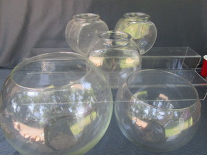 Fish Bowls