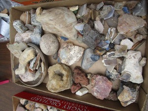 Rocks & Minerals
