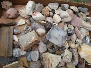 Collector Rocks