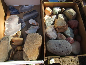 Collector Rocks