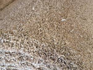 lot 106 image: SP42 883 Carpet Remnant 26x12