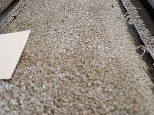 lot 109 image: Carpet Remnant 33x12