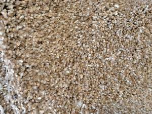 lot 113 image: SP42 799 Carpet Remnant 22.75x12