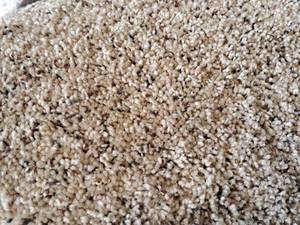 lot 117 image: Carpet Remnant 30x12