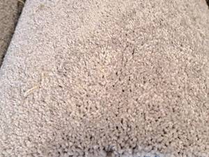 lot 118 image: Carpet Remnant 18.75x12