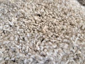lot 122 image: Shake It Up Ornamental Carpet Remnant 34.25x12