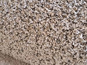 lot 125 image: Deep Thistle Carpet Remnant 19.75x12