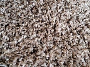 lot 127 image: Carpet Remnant 42x12