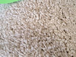 lot 130 image: Tracker Flax Beige Carpet Remnant 17x12