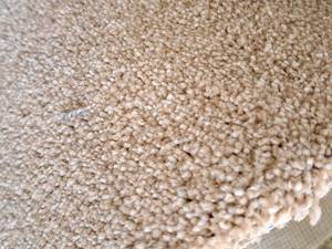 lot 132 image: Carpet Remnant 14.75x12