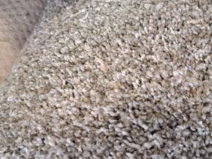 lot 119 image: Carpet Remnant