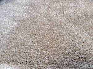 lot 134 image: Montauk Silver Lining Carpet Remnant 25.5x12