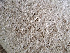 lot 139 image: Carpet Remnant 16.25x12