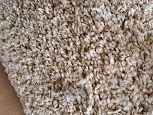 lot 140 image: Sandlot Hot Pursuit Carpet Remnant 20x12