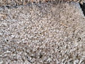 lot 142 image: Carpet Remnant 11x12