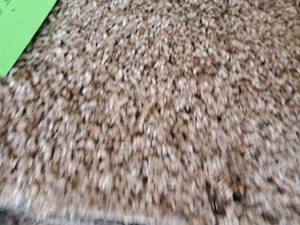 lot 145 image: Checkmate Campground Carpet Remnant 17x12